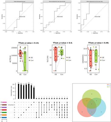 Investigating the role of mitochondrial DNA D-loop variants, haplotypes, and copy number in polycystic ovary syndrome: implications for clinical phenotypes in the Chinese population